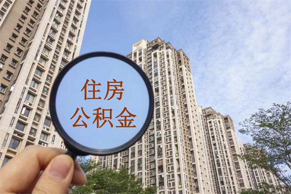 查询我的住房公积金-雄安新区公积金代办平台